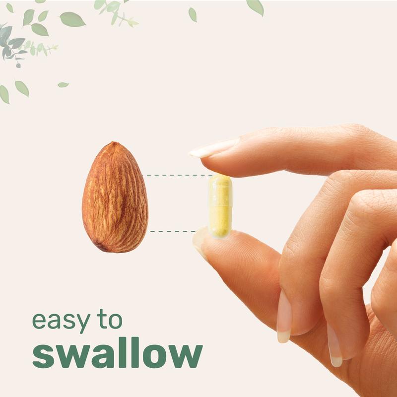 🔥Limited Time Discount 🔥Micro Ingredients Saffron+ Advanced Supplements, 60 Veggie Capsules