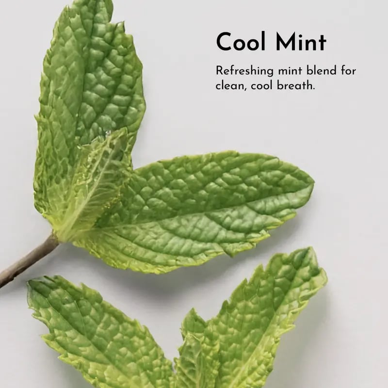 🔥Hot Sale 🔥Whitening Remineralizing Tooth Powder (Mint)