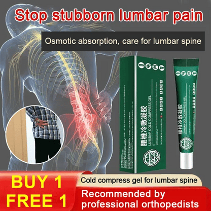 🔥BUY 1 FREE 1🔥 APGAR lumbar spine cold compress gel