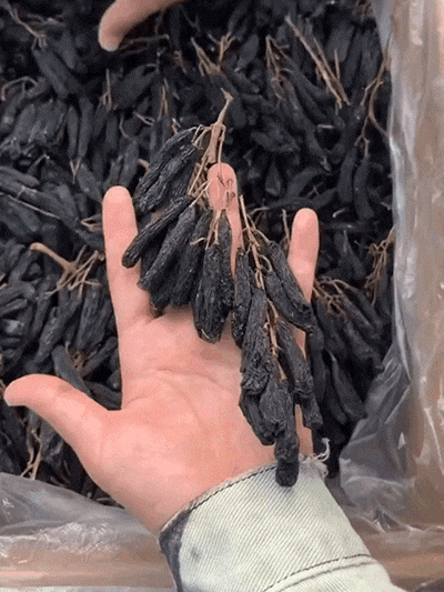 🔥Hot Sale 🔥 [King of Raisins] Turpan Sapphire Raisins | Helps regulate blood sugar