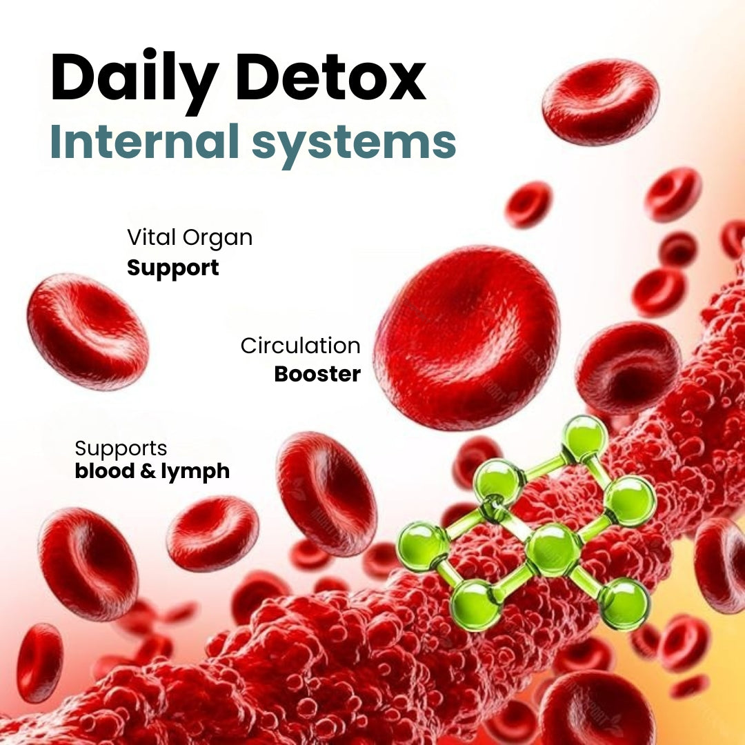 🔥Hot Sale 🔥Detox Foot Pads - Best Diabetes Relief Patch For Your Health